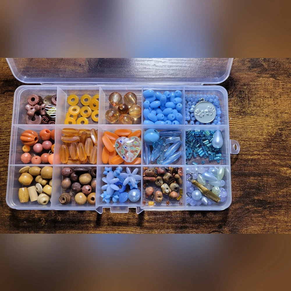 Clear Bead Organizer with Blue and Orange Beads